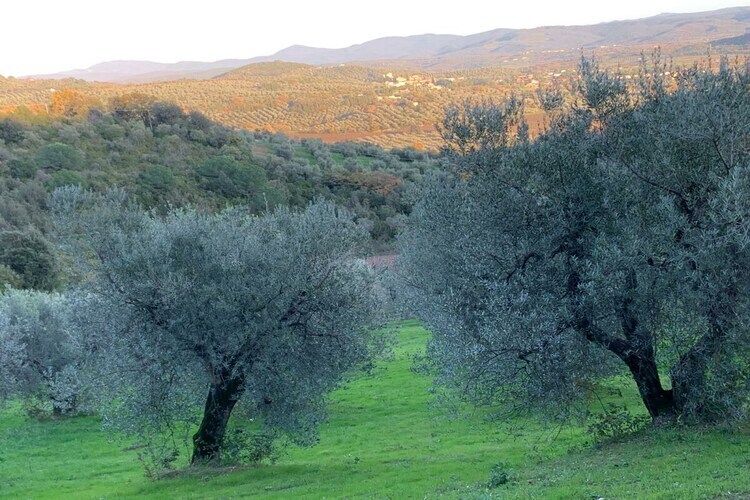 Maison Poggio Banzi à Suvereto, accessible PMR - Photo 35