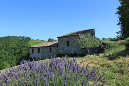 Maison indépendante à Pergola avec terrasse panoramique : photo 11