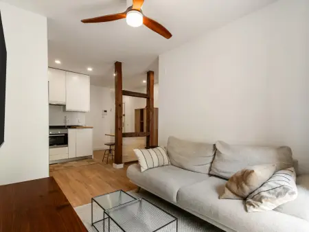Appartement 2 chambres Plaza de Cascorro, Madrid : photo 3