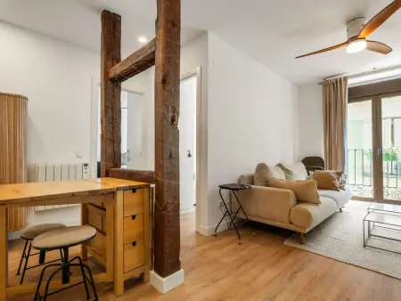 Appartement 2 chambres Plaza de Cascorro, Madrid : photo 5