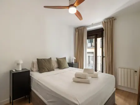 Appartement 2 chambres Plaza de Cascorro, Madrid : photo 8