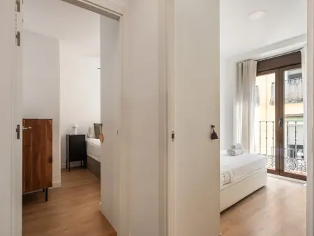 Appartement 2 chambres Plaza de Cascorro, Madrid : photo 22