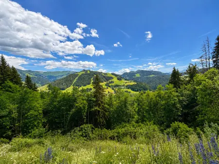 Appartement Cocon vue montagne balcon Sud – Notre-Dame-de-Bellecombe : photo 19