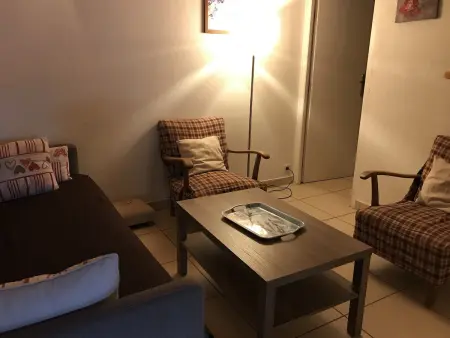 Appartement 8 pers. avec parking aux Carroz - Animaux OK : photo 6