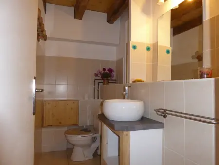 Appartement 8 pers. avec parking aux Carroz - Animaux OK : photo 12