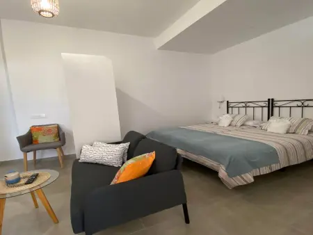 Studio 30 m² face mer et montagne à Valle Gran Rey : photo 34