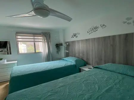 Appartement 45 m² - 4 pers. à Valle Gran Rey : photo 24