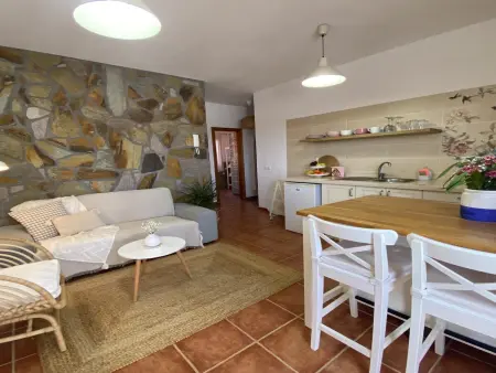 Appartement 50m² avec terrasse à Valle Gran Rey : photo 19