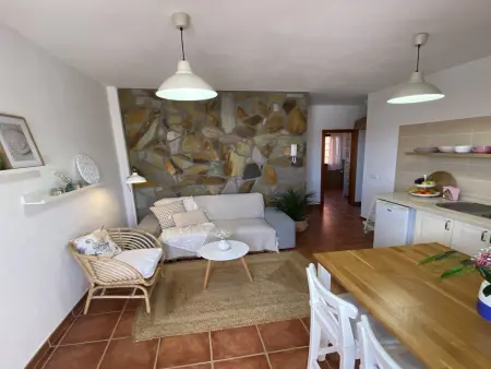 Appartement 50m² avec terrasse à Valle Gran Rey : photo 21