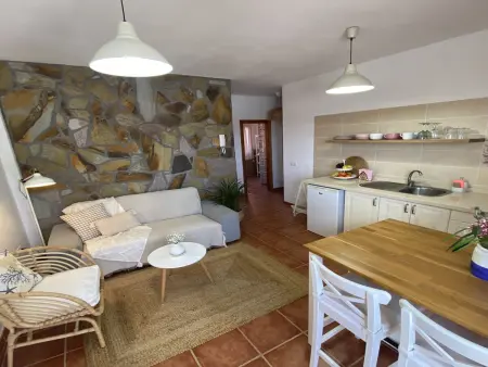 Appartement 50m² avec terrasse à Valle Gran Rey : photo 24