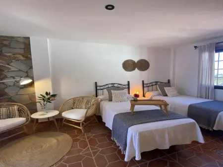 Studio 40 m² avec terrasse à Valle Gran Rey : photo 8