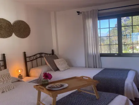 Studio 40 m² avec terrasse à Valle Gran Rey : photo 9