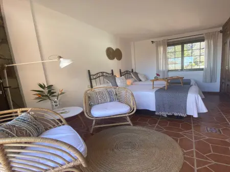 Studio 40 m² avec terrasse à Valle Gran Rey : photo 13