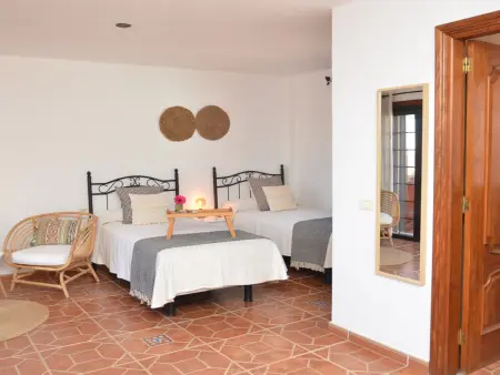 Studio 40 m² avec terrasse à Valle Gran Rey : photo 30