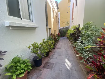 Appartement 35 m² avec balcon à Valle Gran Rey : photo 17