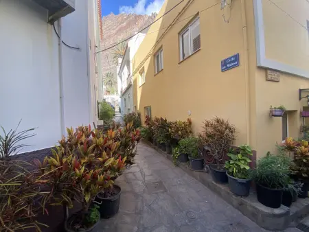 Appartement 35 m² avec balcon à Valle Gran Rey : photo 19