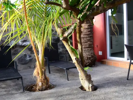 Maison 25 m² avec terrasse à Valle Gran Rey : photo 6