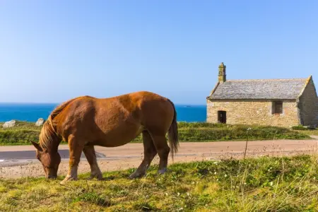 TY MOR BRAS, Maison familiale à deux pas de la plage - Photo 32