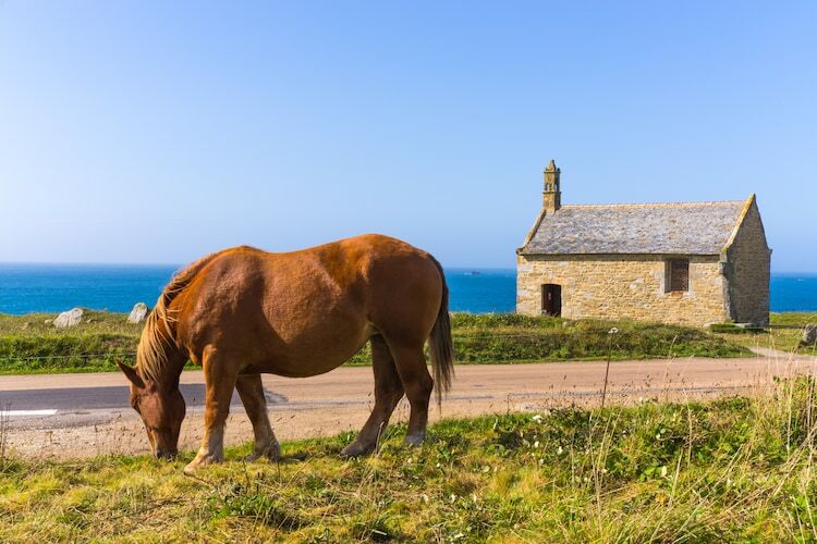 Ker Stivell : maison 8 pers., 50 m de la plage - Photo 44