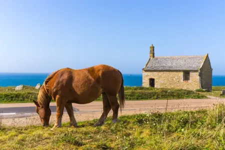 TY KOREJOU, Maison Plouguerneau près du phare - Photo 31