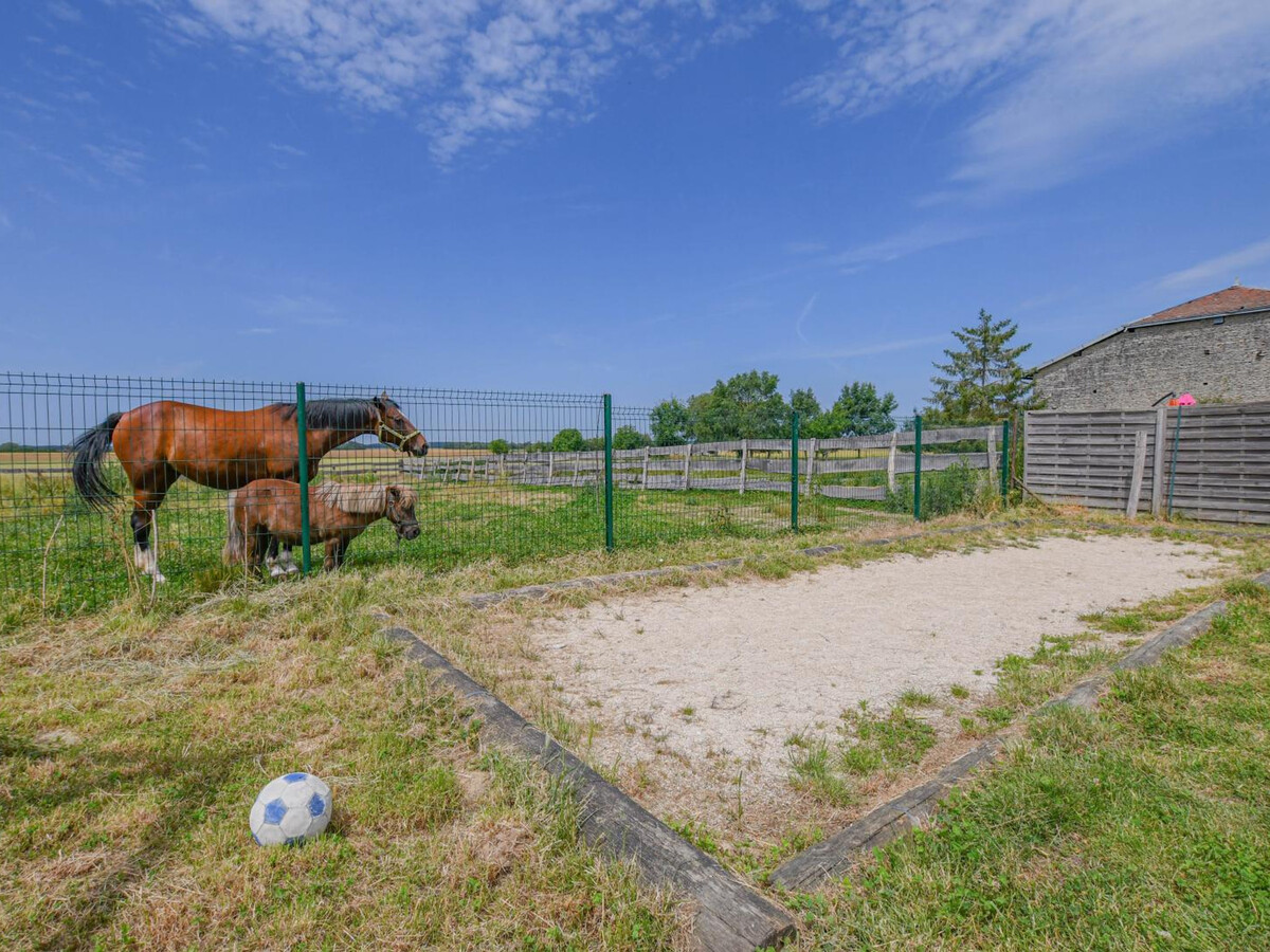 Gîte 14 pers., chevaux et poney à la ferme - Photo 5