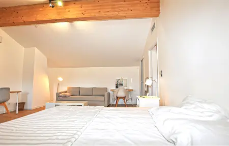 Maison 6 chambres piscine et jacuzzi à Saint-Génis : photo 21