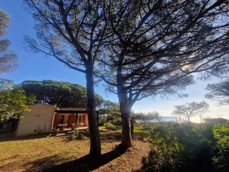 Villa en bord de plage à Cavalaire-sur-Mer, 7 pers. : photo 5