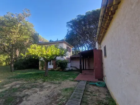 Villa en bord de plage à Cavalaire-sur-Mer, 7 pers. : photo 15