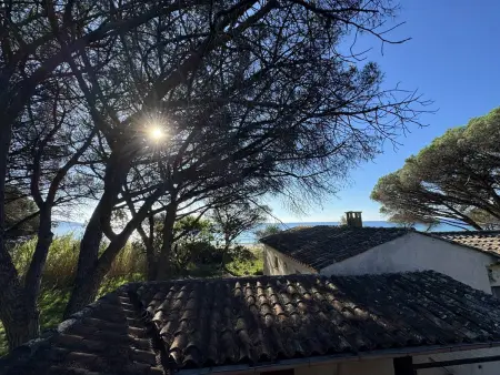 Villa en bord de plage à Cavalaire-sur-Mer, 7 pers. : photo 16