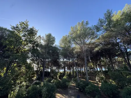 Villa en bord de plage à Cavalaire-sur-Mer, 7 pers. : photo 17