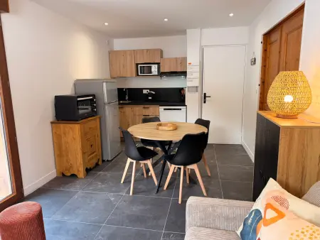 Appartement neuf 30 m² avec balcon à Pralognan : photo 2
