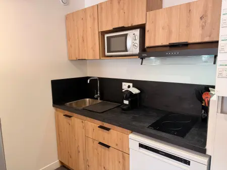 Appartement neuf 30 m² avec balcon à Pralognan : photo 3
