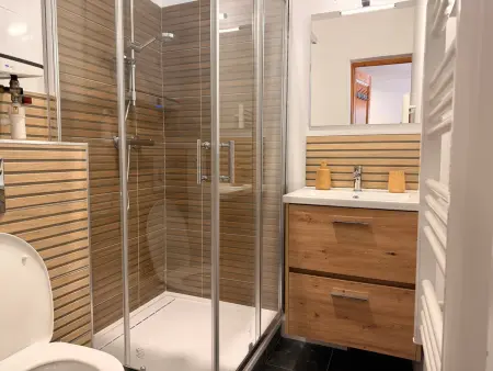 Appartement neuf 30 m² avec balcon à Pralognan : photo 6