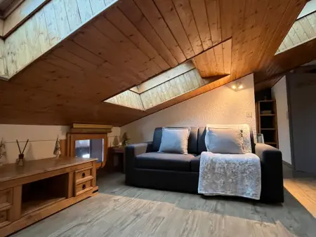 Appartement 4 pers. à 250 m des pistes, Châtel : photo 3