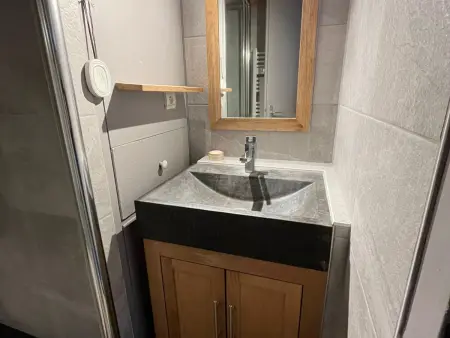 Appartement 4 pers. à 250 m des pistes, Châtel : photo 12