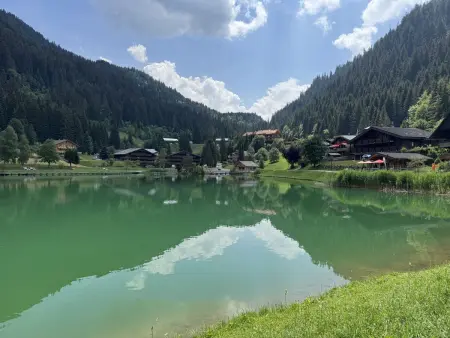 Appartement 4 pers. à 250 m des pistes, Châtel : photo 15