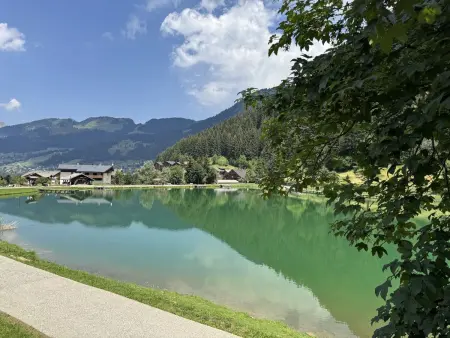 Appartement 4 pers. à 250 m des pistes, Châtel : photo 16