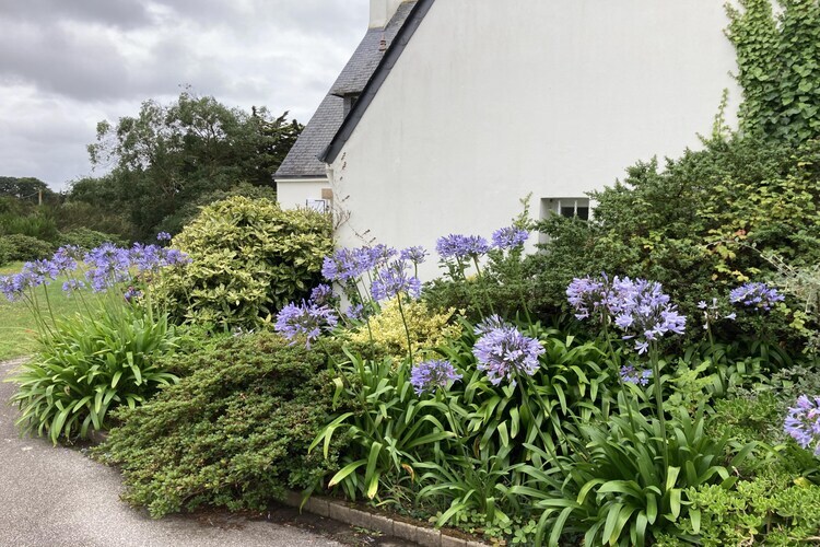 Ker Ildut : maison 10 personnes près de la plage - Photo 7