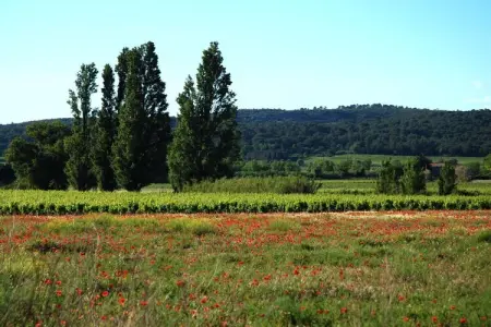 La Placette, maison en pierre à Bizanet : photo 15