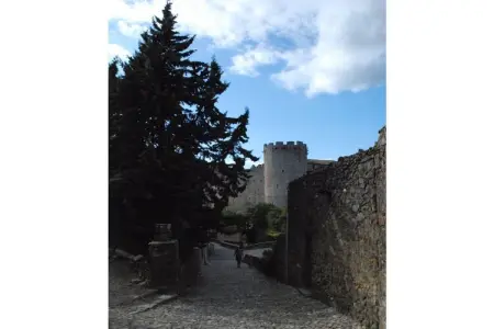 La Placette, maison en pierre à Bizanet : photo 19