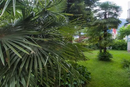 Appartement Meran, balcon sud vue panoramique : photo 21