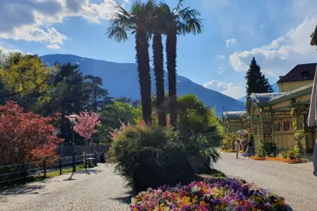 Appartement Meran, balcon sud vue panoramique : photo 38