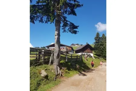 Maison de vacances avec piscine à Voellan bei Lana : photo 25
