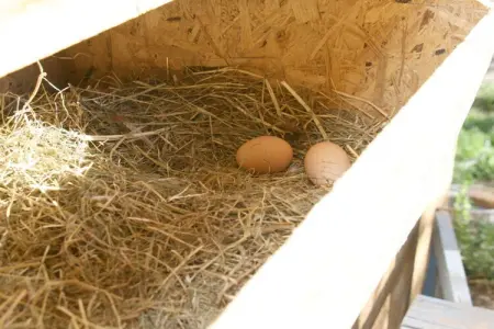 Maison de vacances Lana, 3 chambres, 2 balcons : photo 9