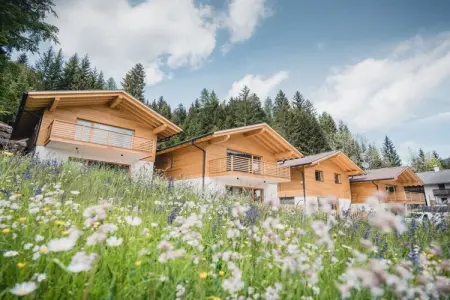 Chalet luxe 6 personnes à 1 320 m avec sauna : photo 2
