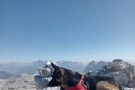 Maison 6 pers. vue Dolomites, jardin clos à Fiemme : photo 16