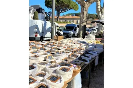 407918, Oasis en Provence - Photo 30