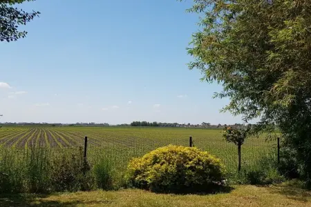 Maison 6 personnes à De Haan, vue sur les polders : photo 3
