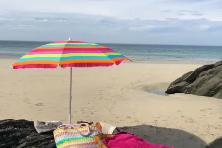 238054, Maison de vacances à Plozevet avec piscine - Photo 13