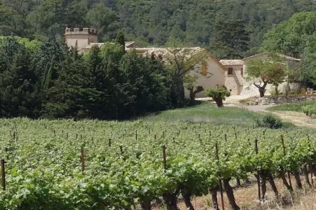 54043, Domaine de Monteils - Photo 26